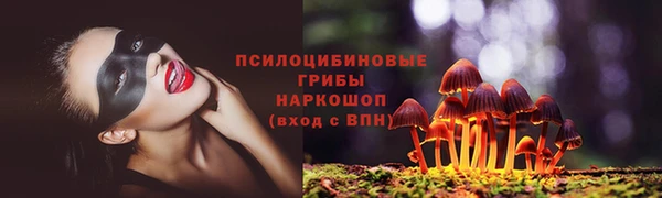 мдпв Волоколамск