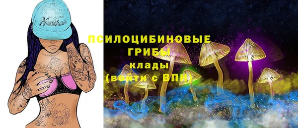 бошки Володарск