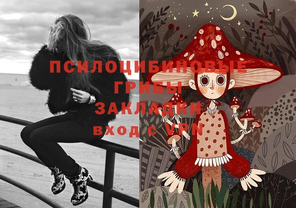 бошки Володарск