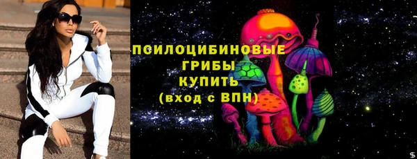 ПСИЛОЦИБИНОВЫЕ ГРИБЫ Осинники