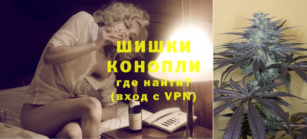 мдпв Волоколамск