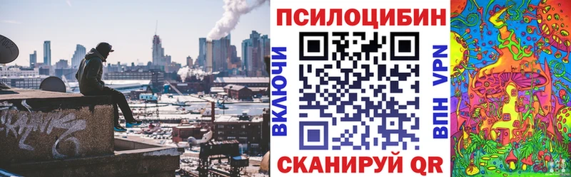 кракен как зайти  Волгореченск  Псилоцибиновые грибы GOLDEN TEACHER 